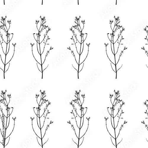 Seamless pattern. Vector illustration with wildflower. Doodle sketch.