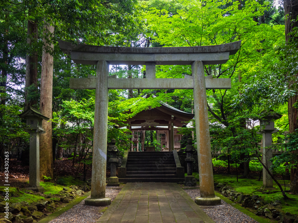 Stone torii gate and lanterns (Yahiko shrine, Yahiko, Niigata, Japan) Stone torii gate and lanterns (Yahiko shrine, Yahiko, Niigata, Japan)