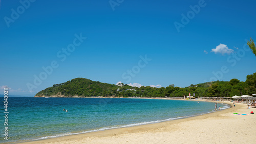 Koukounaries   the world-famous beach of the island of Skiathos in Greece  combines the green of the pine  the blonde sand and the crystal clear sea.