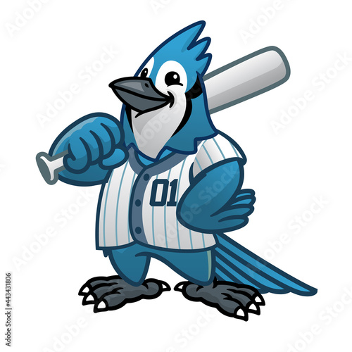 Photography blue jay baseball cartoon mascot