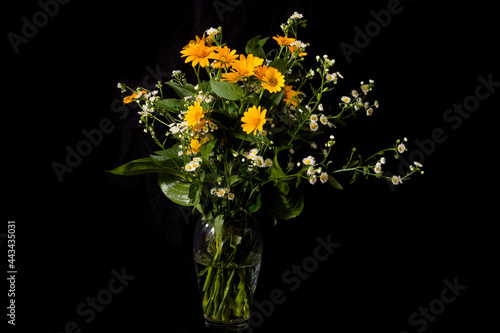wildflowers in vase on black background © OLEKSANDR