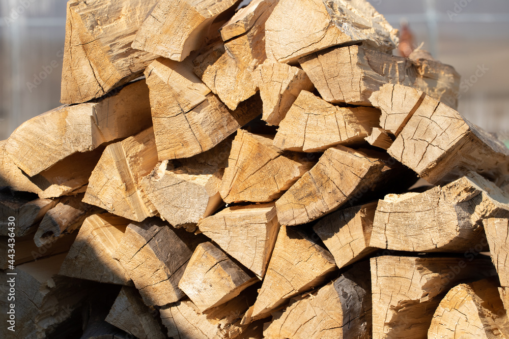 Preparation Of Firewood For Winter In Forest Close Up. Preparation Of Firewood For Winter In Forest Close Up.
