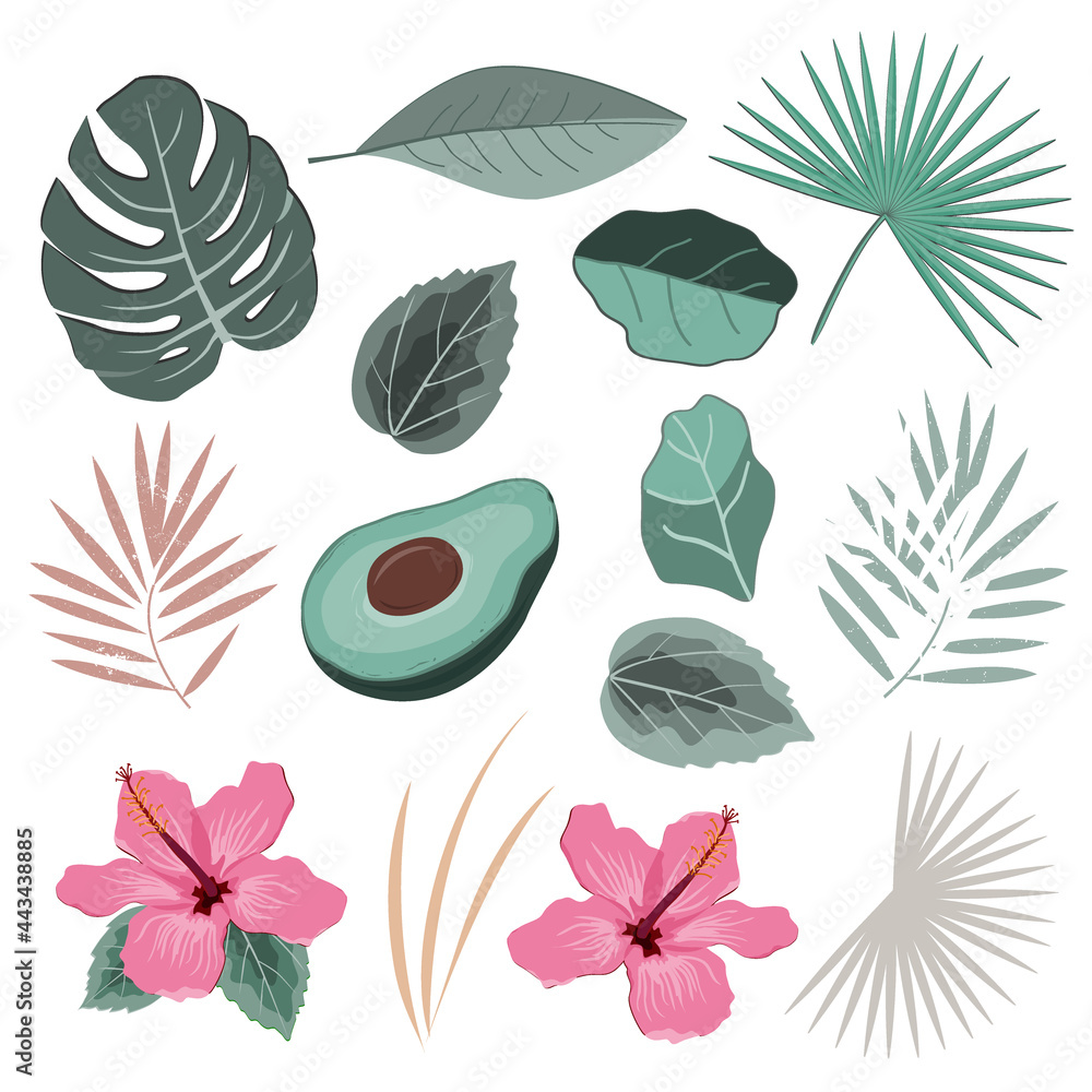 Fototapeta Vector set with wild tropical rainforest plants leaves and flowers. Isolated elements of tropic design