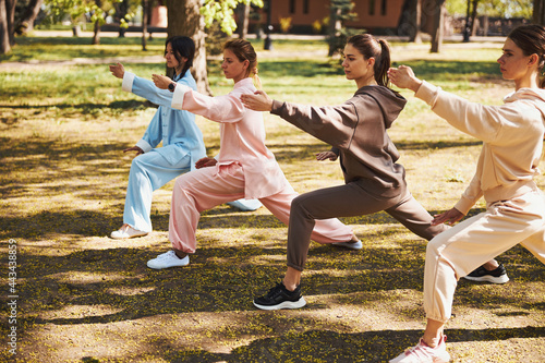 Attractive women working out outside doing tai chi photo