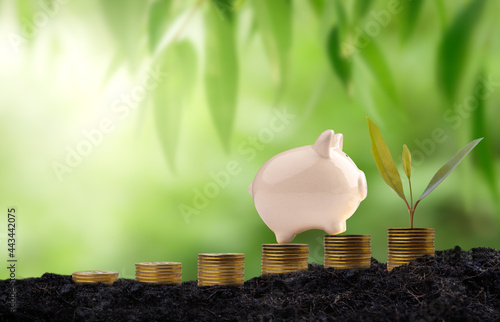 Business Financial and Saving Money concept. Money coin stack placed in steps on a pile of soil with a pig piggy bank on bokeh background. growing sme business. photo