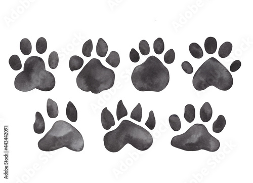 Watercolor Black hand drawn illustration with animal footprints