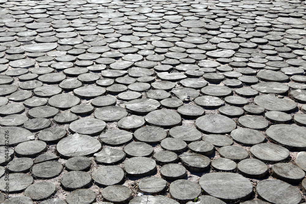 Sidewalk covering made of wood slices, for backgrounds or textures