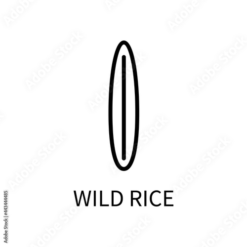 Icon Of The Wild Rice Line In A Simple Style. Vector sign in a simple style isolated on a white background. Original size 64x64 pixels.