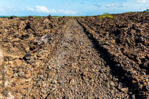 Obraz na plátne The Ancient Ala Mamalahoa Road, Koloko-Honokohua National Historic Park, Hawaii,