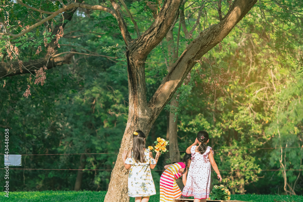 Fototapeta premium Asian girls and friends playing together on lawn through green garden. Happiness girl friends having fun on field among trees and green grass. Happy friends spending time outside in green nature.