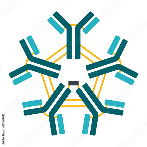 Pentameric IgM scheme of antibody photo