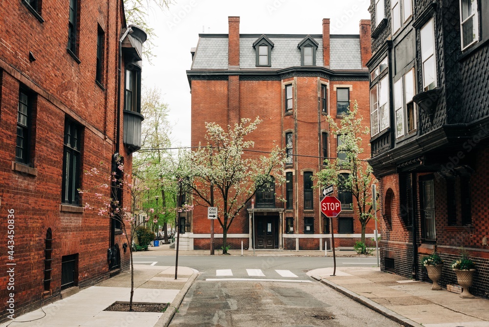 Obraz premium Brick residential buildings in Philadelphia, Pennsylvania