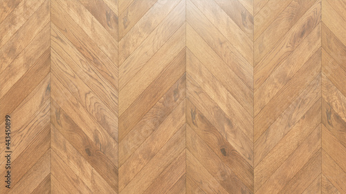 Wood Texture.