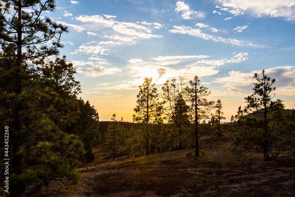 Spring sunset in Llano del Jable, La Palma Island, Canary Islands, Spain Spring sunset in Llano del Jable, La Palma Island, Canary Islands, Spain