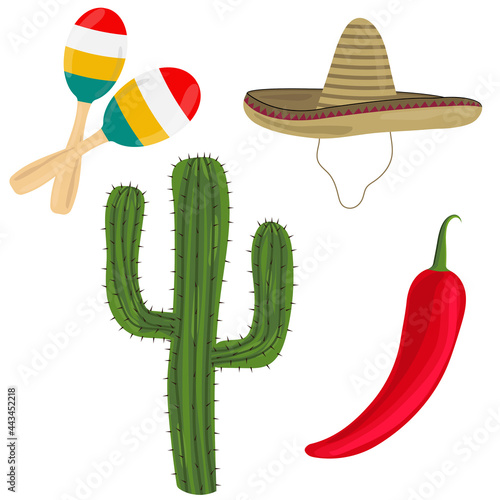  Mexican national items on a white background