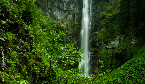 Fototapeta Naklejka Na Ścianę i Meble -  waterfall in the forest, maral waterfall in the macehale, artvin, camili, from turkey travel