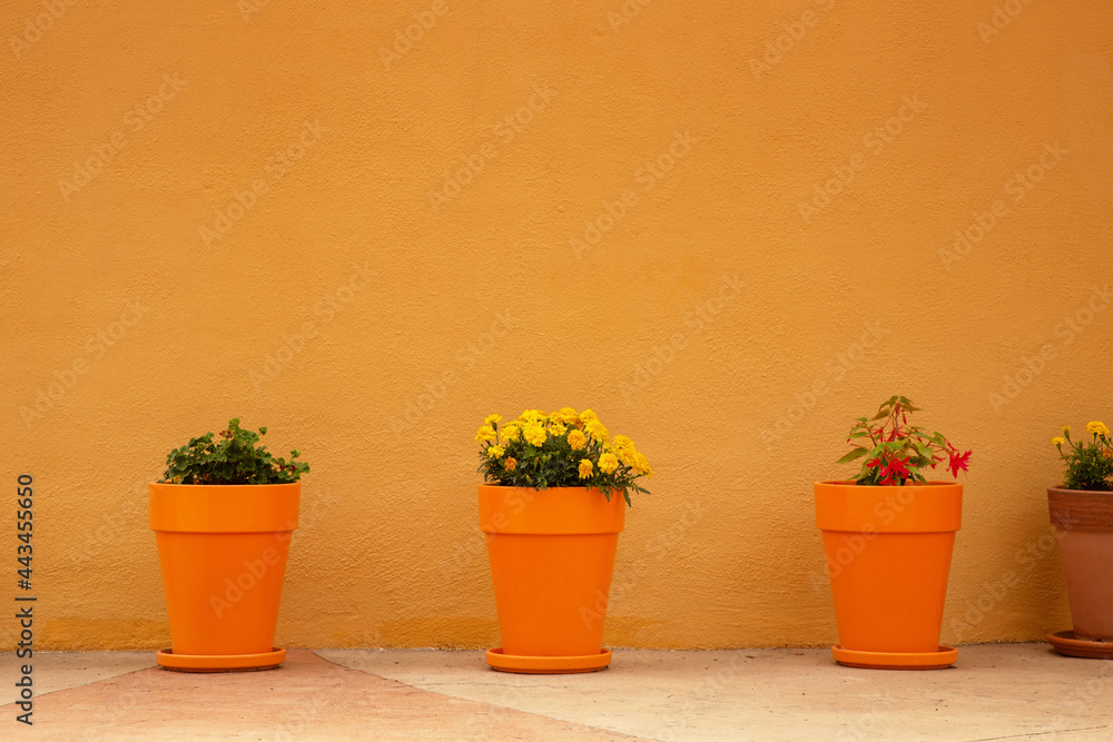 flower pot background image