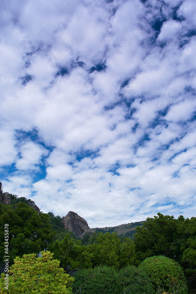 krajobraz góry sierra de guadarrama madryt widok drzewa niebo chmury