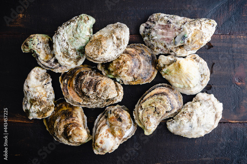 Raw Atlantic Oysters on a Wood Table: A dozen whole oysters on a wooden background