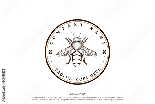 Vintage Retro Bee for Honey Product Label Logo Design