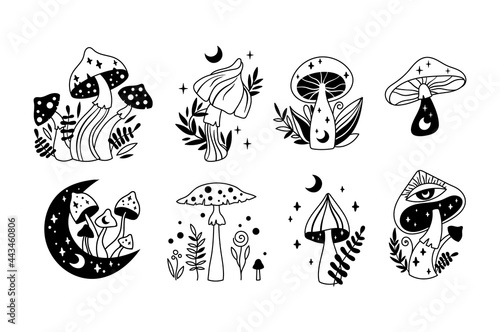 Boho mystical celestial mushrooms isolated cliparts set