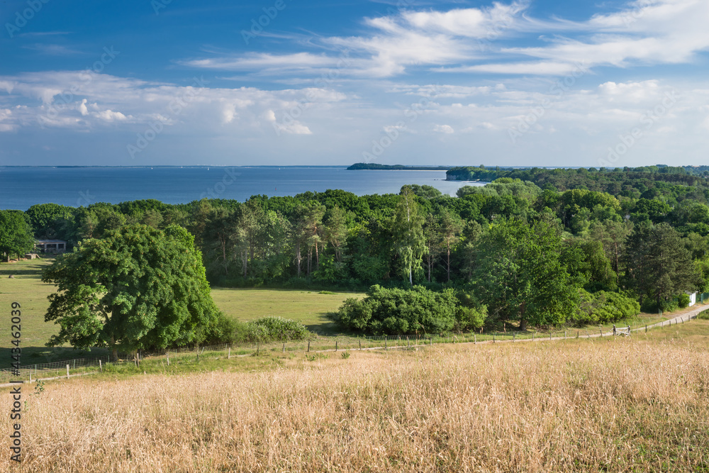 Pommersche Buch Ostküste Rügen Sommer