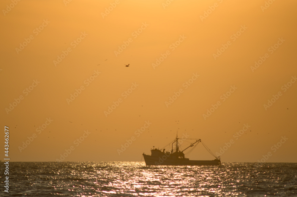 Fototapeta premium boat at sunset