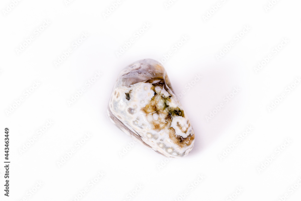 Macro mineral stone Jasper oceanic on a white background Macro mineral stone Jasper oceanic on a white background