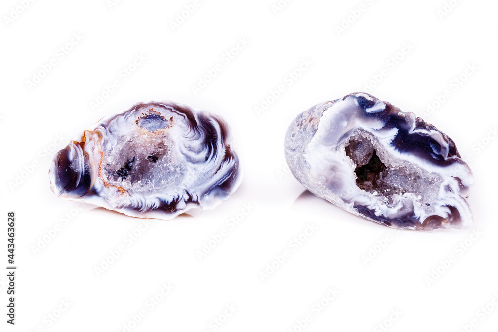 Macro mineral stone agate bud on white background Macro mineral stone agate bud on white background