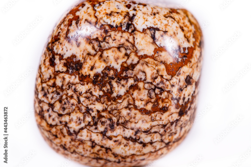 Macro mineral rock jasper landscape sandy on white background Macro mineral rock jasper landscape sandy on white background