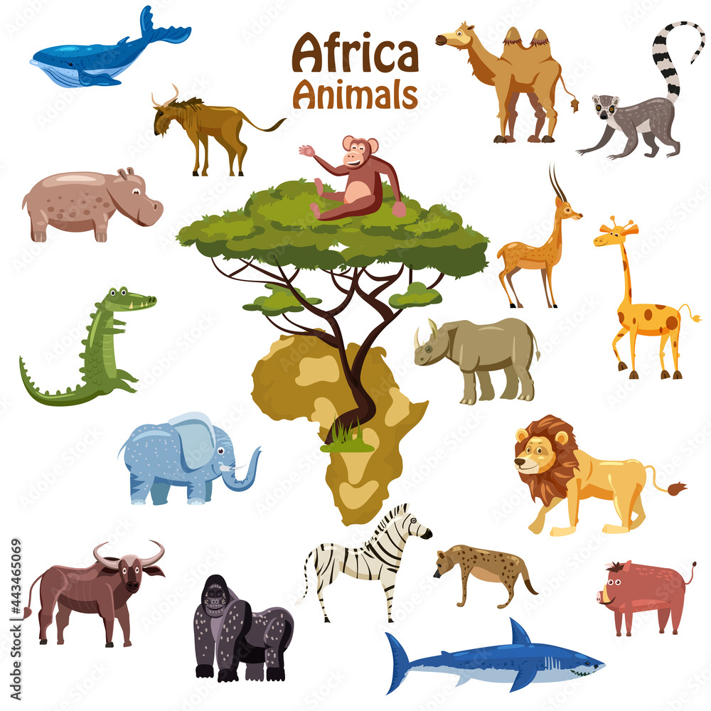 Africa tropical animals map south continent. Collection cute exotic  characters. Vector illustration isolated Stock Vector | Adobe Stock