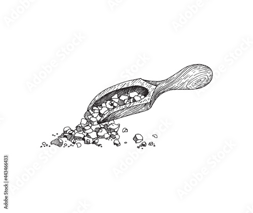 Wooden scoop with pieces sea salt or sugar a vector illustration on a white.