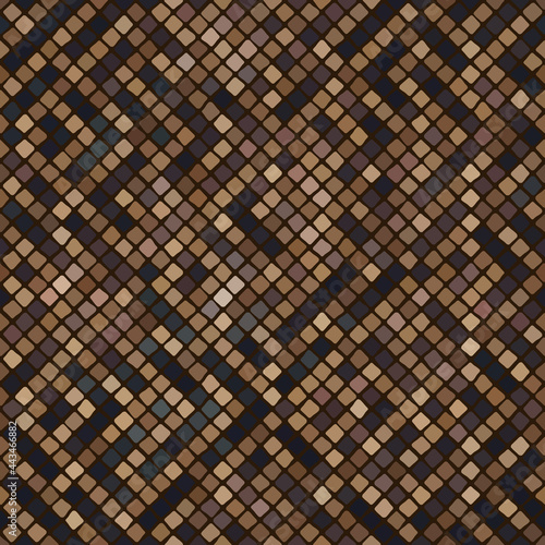 Pattern of vector mosaic in...