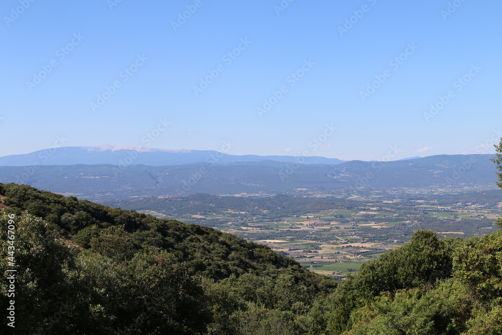 Tour Philippe - Bonnieux - Cèdres - Lavandes