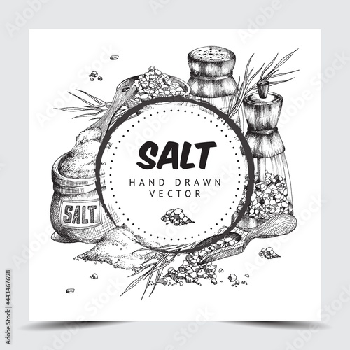 Sea salt frame or label hand drawn engraved vector illustration isolated.