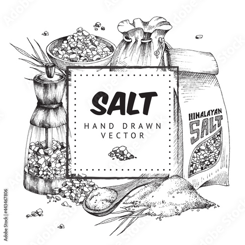 Label with salt elements a vector illustration in engraved style.