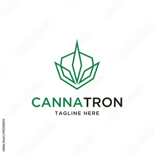 Fotografie cannabis leaf logo design inspiration