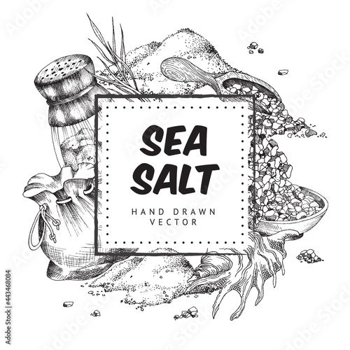 Frame for text at backdrop with sea salt engraving vector illustration isolated.