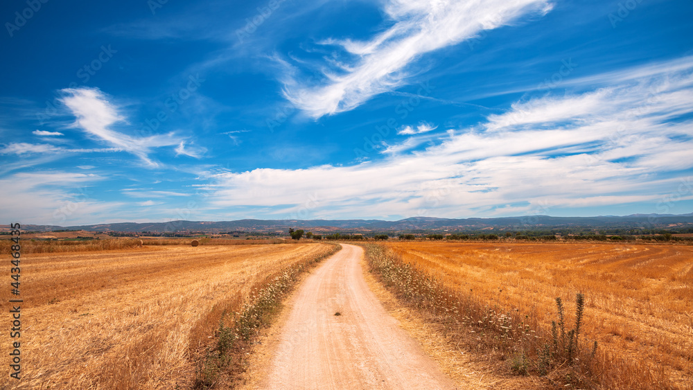 Strada rurale di campagna tra i campi con sfondo di cielo azzurro e nuvole in estate, Italia, Europa 