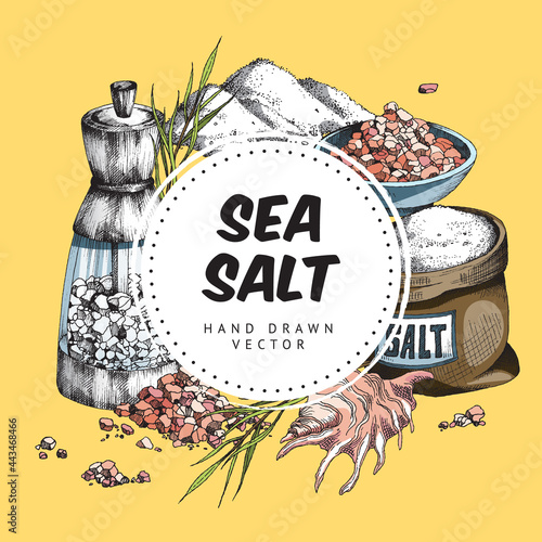 Sea salt decorative background or frame hand drawn vector illustration isolated.