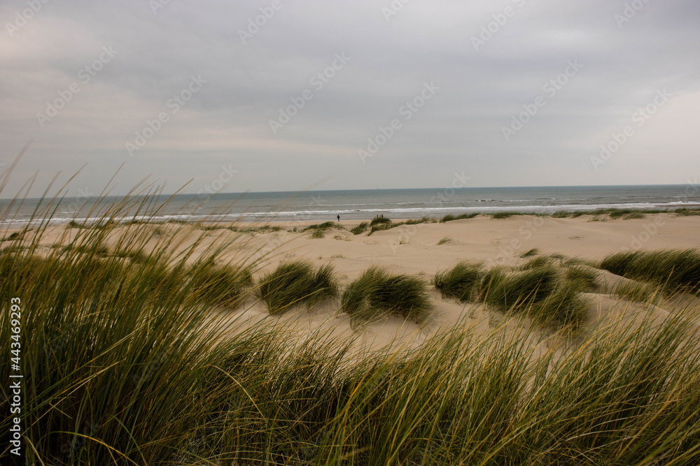 Sanddünen am Strand