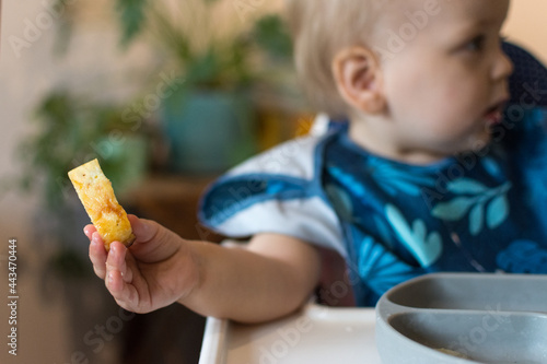 One year old baby holds out a soft strip of cooked eggs; allergenic food exposure Baby Led Weaning photo