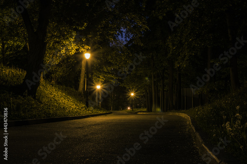 The tiled road in the night green park with lanterns in spring. A benches in the park during the spring season at night. Illumination of a park road with lanterns at night. Mariinsky Park. Ukraine