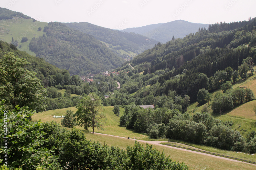 Blick auf den Schwarzwald
