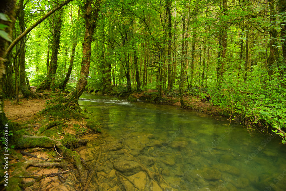 Cascades des Tufs in Les Planches sous Arbois in Frankreich Cascades des Tufs in Les Planches sous Arbois in Frankreich