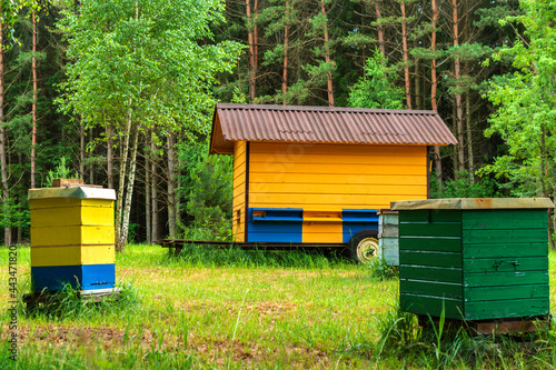 Big mobile wooden bee house and a few beehives in the forest at bright sunny day. © Giedrius