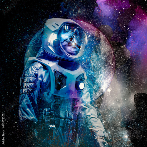 cat astronaut in space colo...