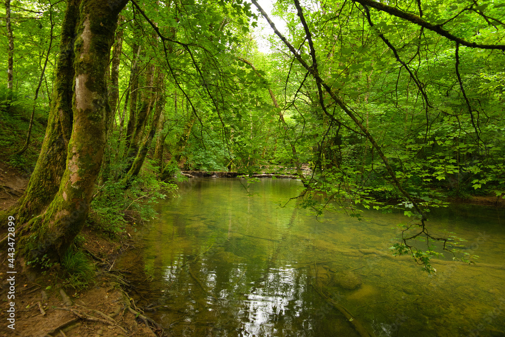 Cascades des Tufs in Les Planches sous Arbois in Frankreich Cascades des Tufs in Les Planches sous Arbois in Frankreich