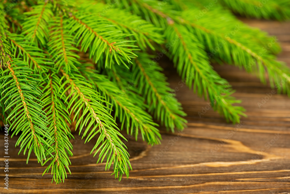 Green spruce branches close-up on a brown wooden background. Green spruce branches close-up on a brown wooden background.
