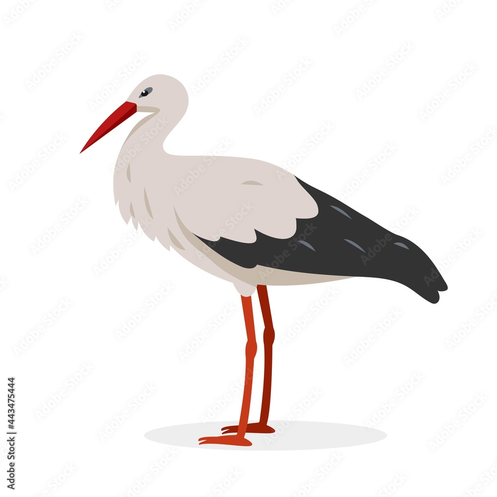 Fototapeta premium White black Stork bird cartoon or flat icon